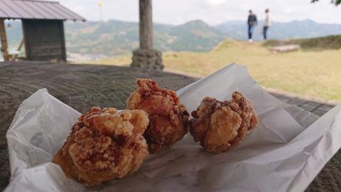 96-81(51-45)伐株山憩いの森567