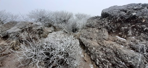 250-231(39-36)RECAMP志高湖 由布岳211_081014