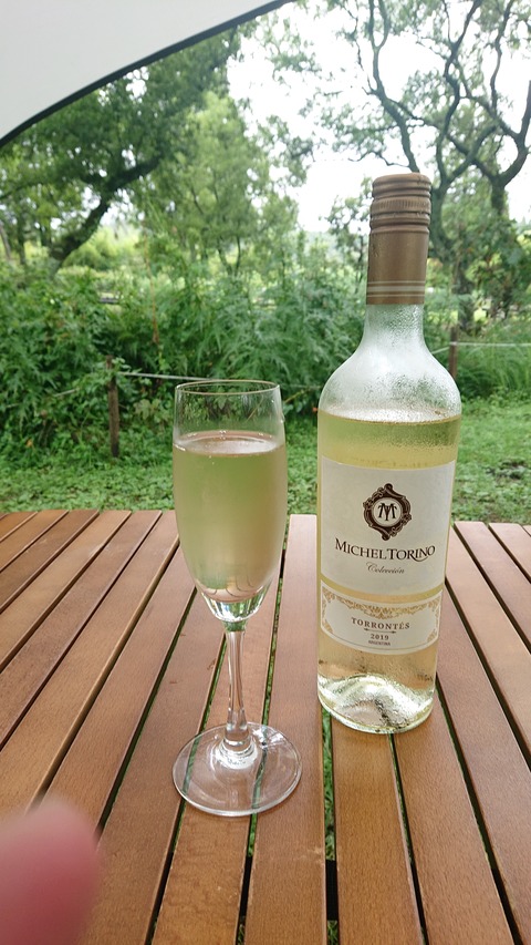 111-96(10-10)くじゅうエイドST177