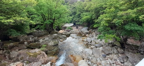 156-141(55-55)鹿川キャンプ場505_153529