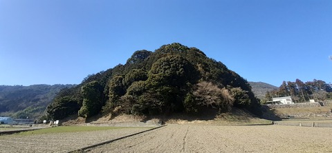 251-232(40-37)大坂山障子ヶ岳218_133124