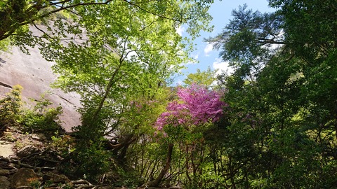 100-85(55-49)鹿川キャンプ場7020