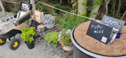 213-197(2-2)レムブランベースC527_135029