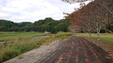 67-54(22-18)辻河原公園キャンプ場172S