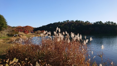 23-19志高湖キャンプ場806