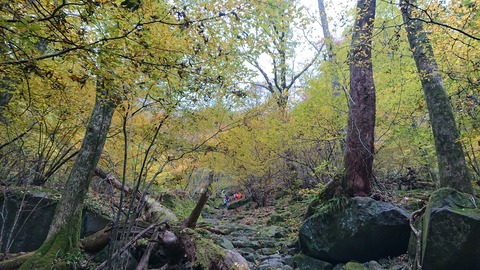 124-109(23-23)英彦山野営場101