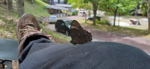 160-145(2-2)グランピング川崎3回目528_140255R