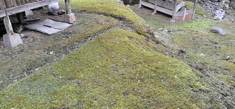 202-186(44-43)八木山渓流公園325_125031