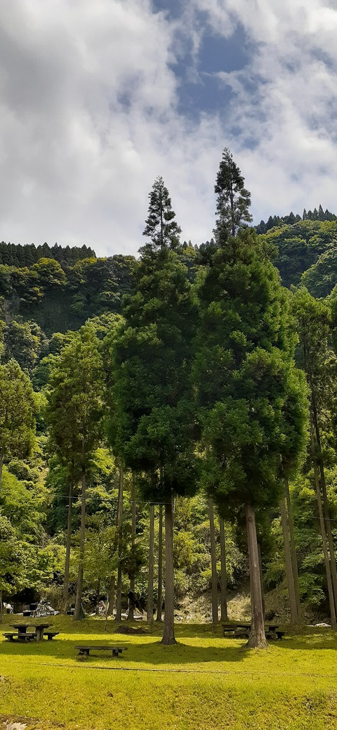 211-195(53-52)猿ヶ城キャンプ場505_130810