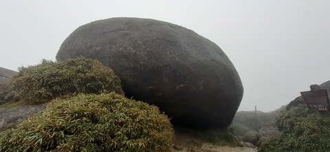 260-241(49-46)宮之浦岳淀川小屋501_100804