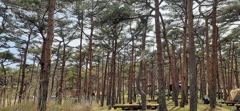 209-193(51-50)えびの高原キャンプ村503_144548