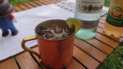 110-95(9-9)高原の里98