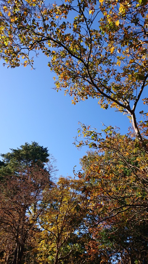 124-109(23-23)英彦山野営場176