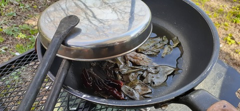 203-187(45-44)長崎鼻リゾートキャンプ場401_161916