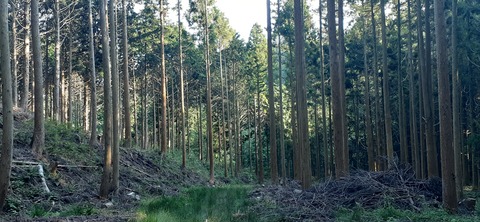 231-214(20-19)牛斬山1001_162454