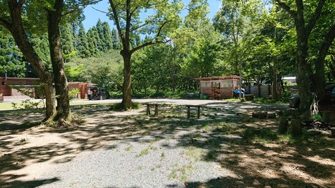 114-99(13-13)9.BASE 492