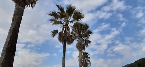 198-182(40-39)キワラビーチ225_153607