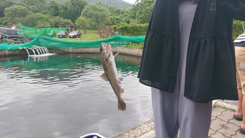 109-94(8-8)スパージュ7938