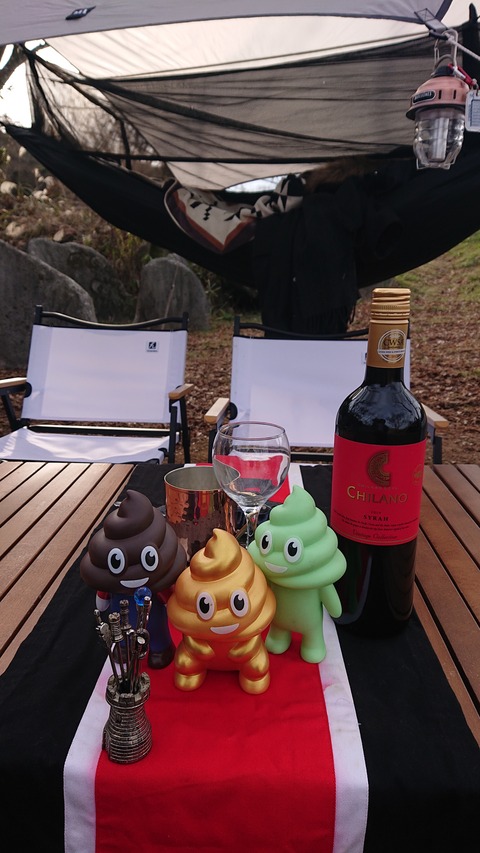 77-62(32-28)目白洞キャンプ場5007S