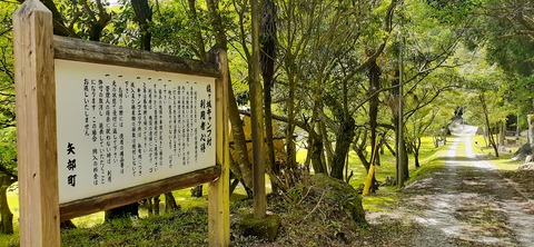 211-195(53-52)猿ヶ城キャンプ場505_130118