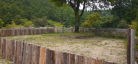 265-246(2-2)ありが湯キャンプ場526_124626