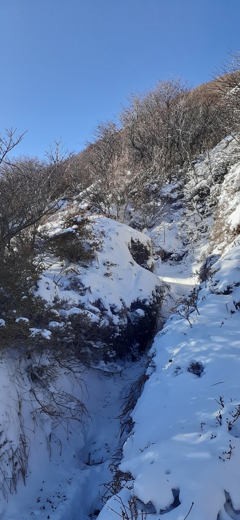 238-221(27-26)法華院温泉山荘1119_084307