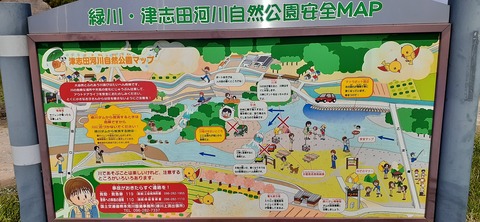 207-191(49-48)津志田河川公園乙女河原501_132114