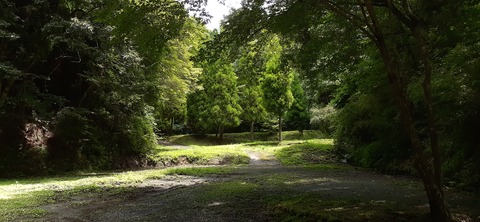 168-153(10-10)阿蘇ファンタジーの森806_122825