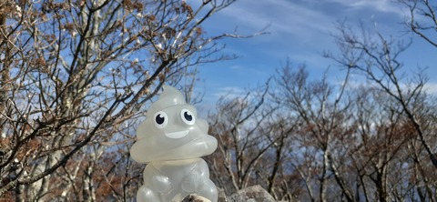 236-219(25-24)大崩山1104_120246