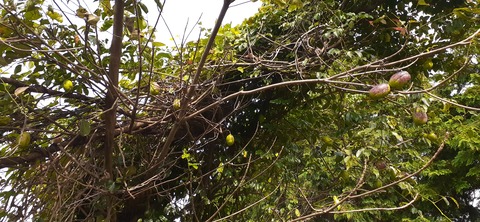 231-214(20-19)牛斬山1001_141419