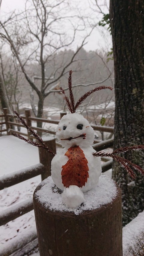 78-63(33-29)北山キャンプ場74S