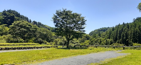 214-198(3-3)オートキャンプ竜門603_124805