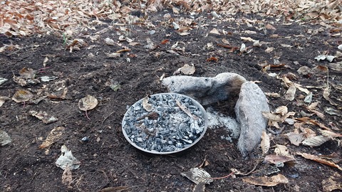 126-111(25-25)CAMP✕WOODS441