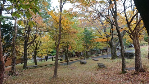 124-109(23-23)英彦山野営場143