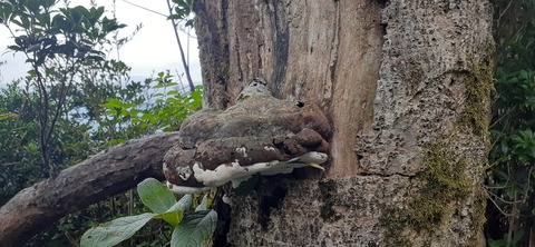 227-210(16-15)スノーピーク奥日田902_121632