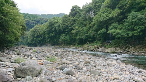Dキャンプ久住カワセミ公園37