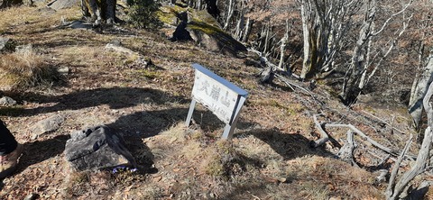 236-219(25-24)大崩山1104_120014