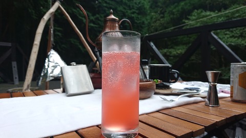 118-103(17-17)グランピングKAWASAKI２143S