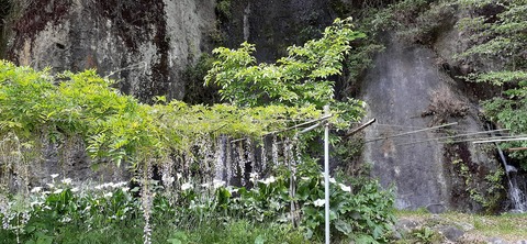 158-143(57-57)陽目の里キャンピングパーク507_141429