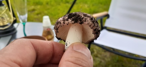 159-144(1-1)遊牧民521_144218