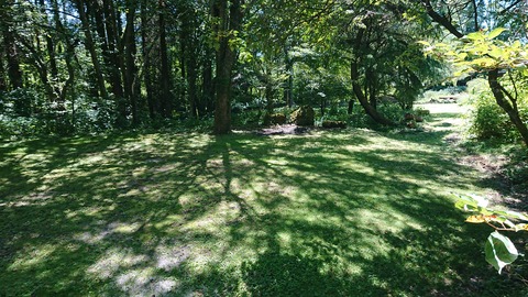 114-99(13-13)九重山麓風の丘 484