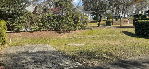 237-220(26-25)るるパーク1111_122052