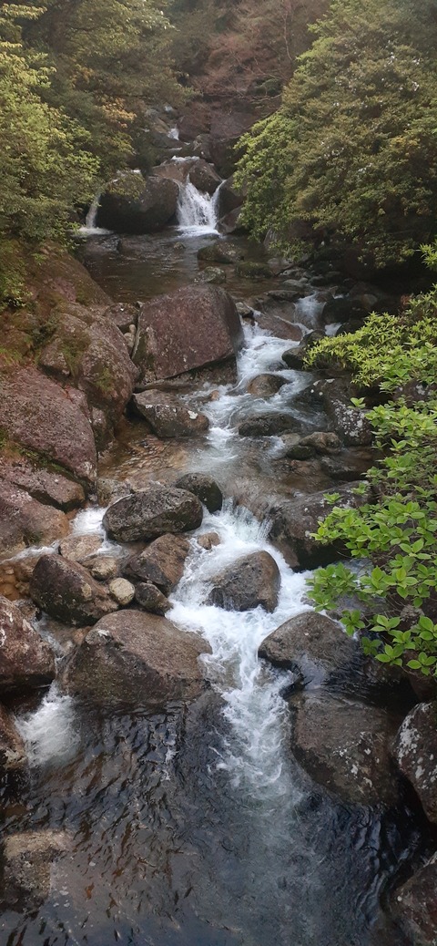 259-240(48-45)宮之浦岳新高塚小屋430_061652