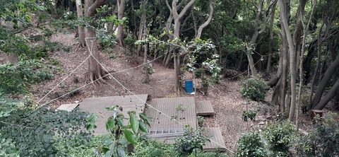 213-197(2-2)レムブランベースC527_132335