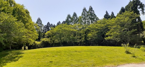 205-189(47-46)ラピュタファーム422_140808