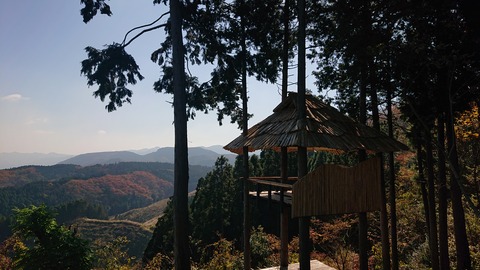 126-111(25-25)CAMP✕WOODS331