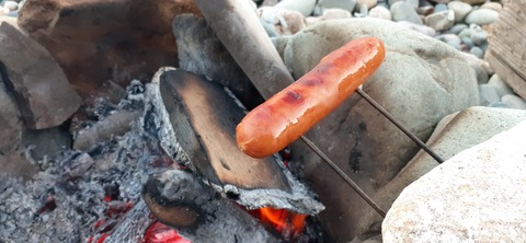 189-173(31-30)大島加代海岸103_170814