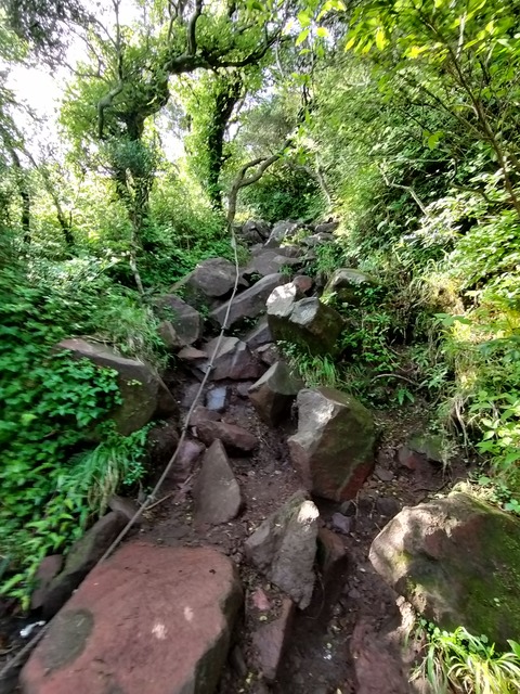 257-238(46-43)開聞岳428085659