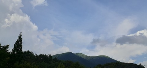 220-203(9-8)ゴンドーシャロレー722_154249