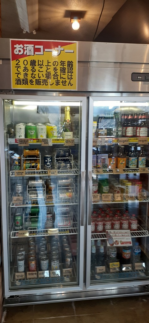 249-230(38-35)RECAMP志高湖210_124946